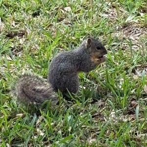 Meet your Posher, Carmen